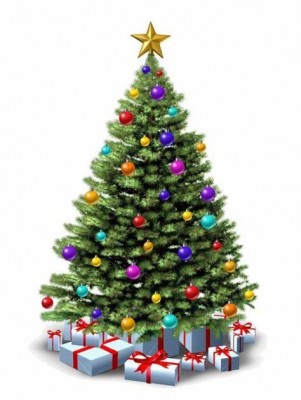 Waarom een kerstboom?