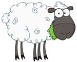 Sociale teams: het schaap met vijf poten?