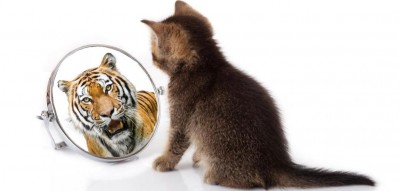 Een jaarlijks moment van reflectie..
